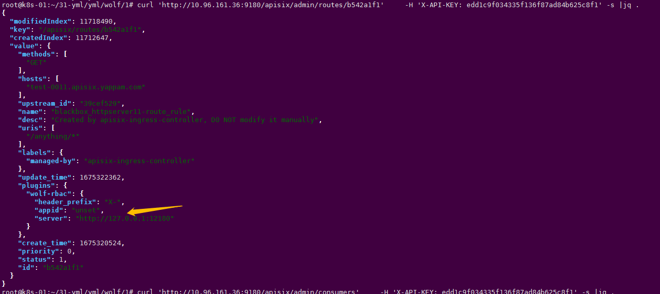 request help: Enabling the wolf-rbac plug-in configuration parameter ...