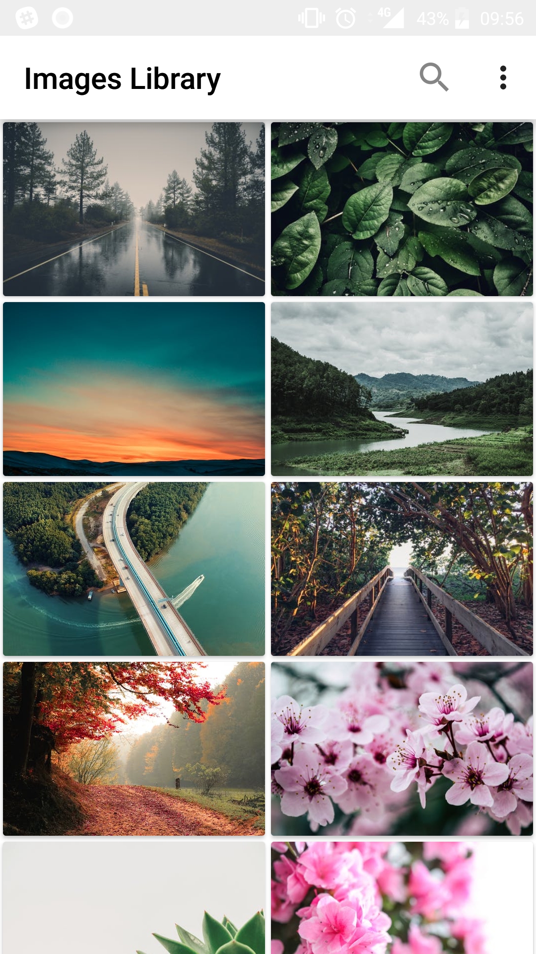 GitHub - melirenia/PhotoGallery: Photo gallery using Pexels.com API