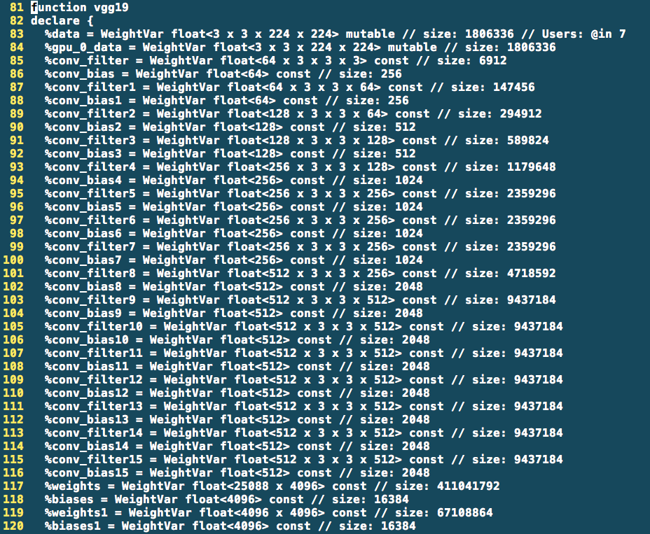 vgg19 Some FP weights are not used after quantization anymore, but