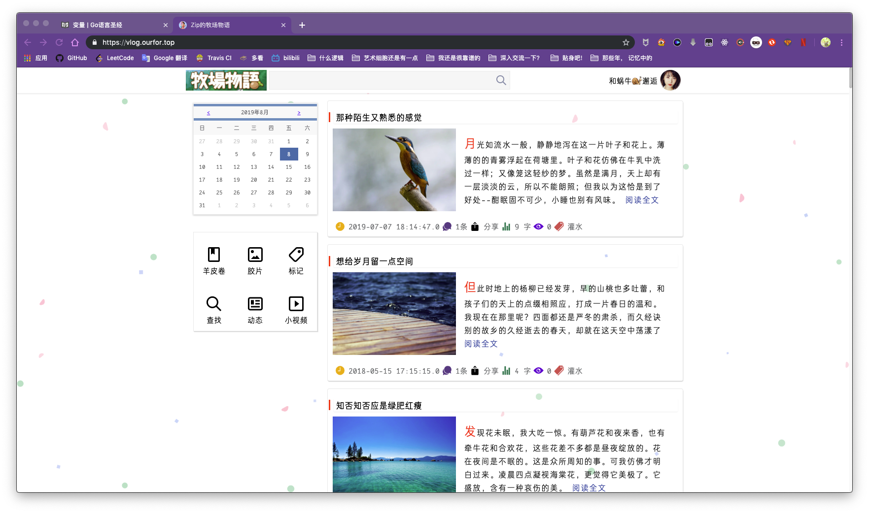 主页