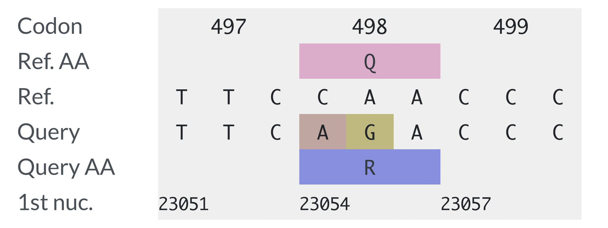 XBB.2.3 + S:S494P +Orf8:I58T likely emerged in Philippines (59 ...