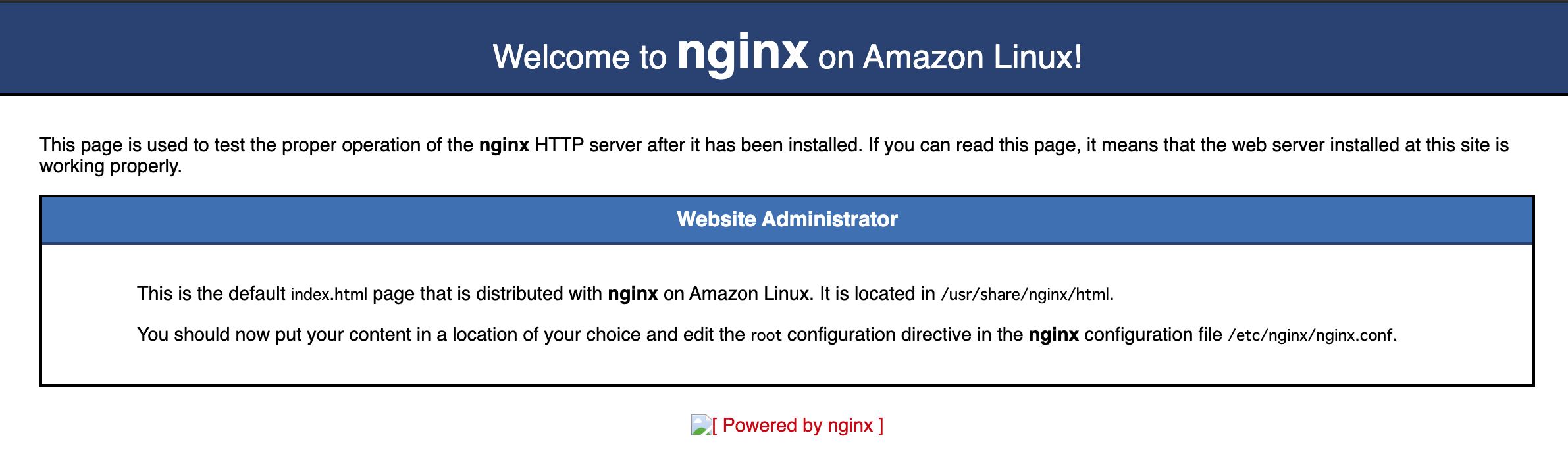 Nginx listen 80. Nginx listen 80