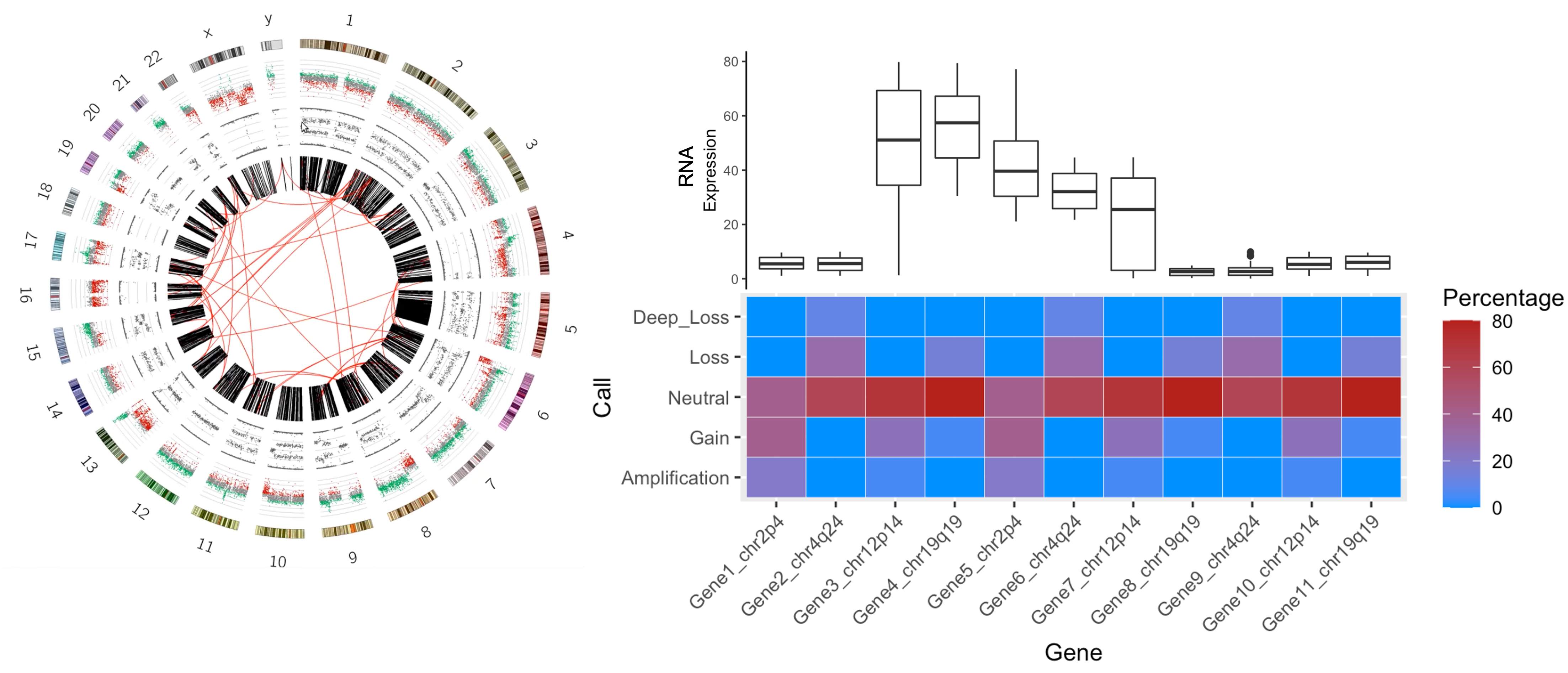 Proposed Analysis: Create CNV Visualizations for Gene View and Disease ...