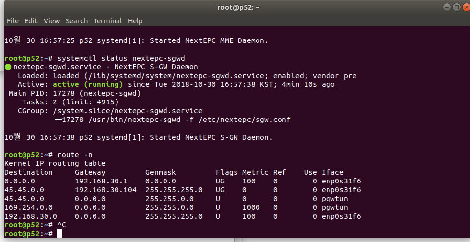 UE cannot access to the Internet · Issue #118 · open5gs/open5gs · GitHub