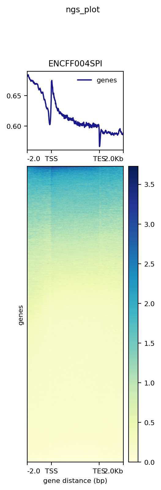 GitHub - Pirozhok1967/hse_hw2_chip