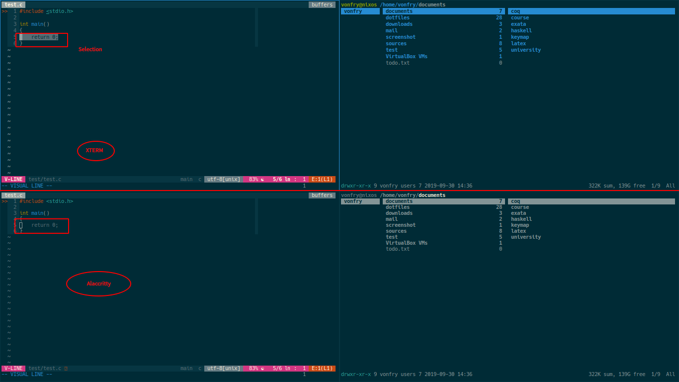 solarized show different color between alacritty and xterm · Issue ...