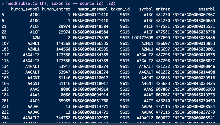 Screenshot 2023-03-31 at 15 46 18
