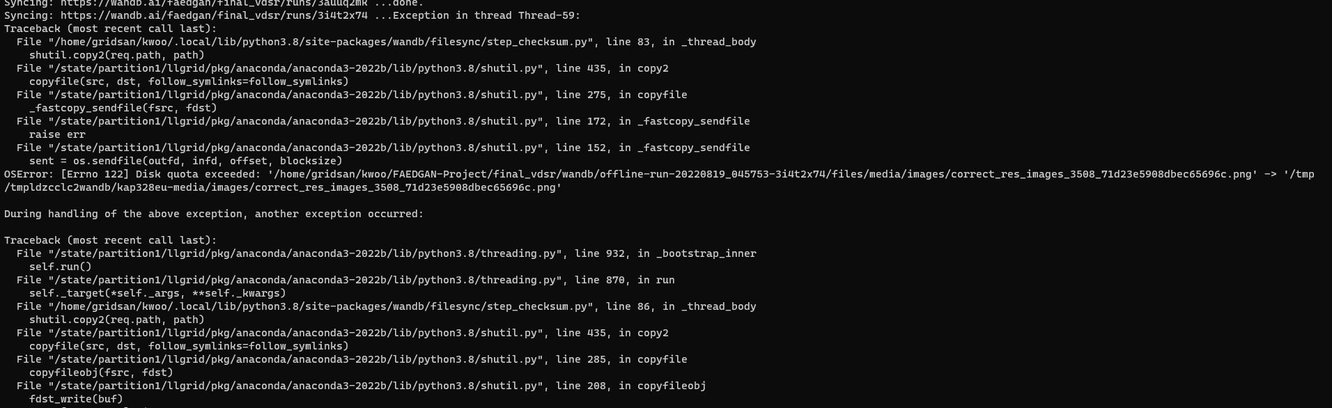 Trainer terminated with OS disk quota error wandb hangs forever