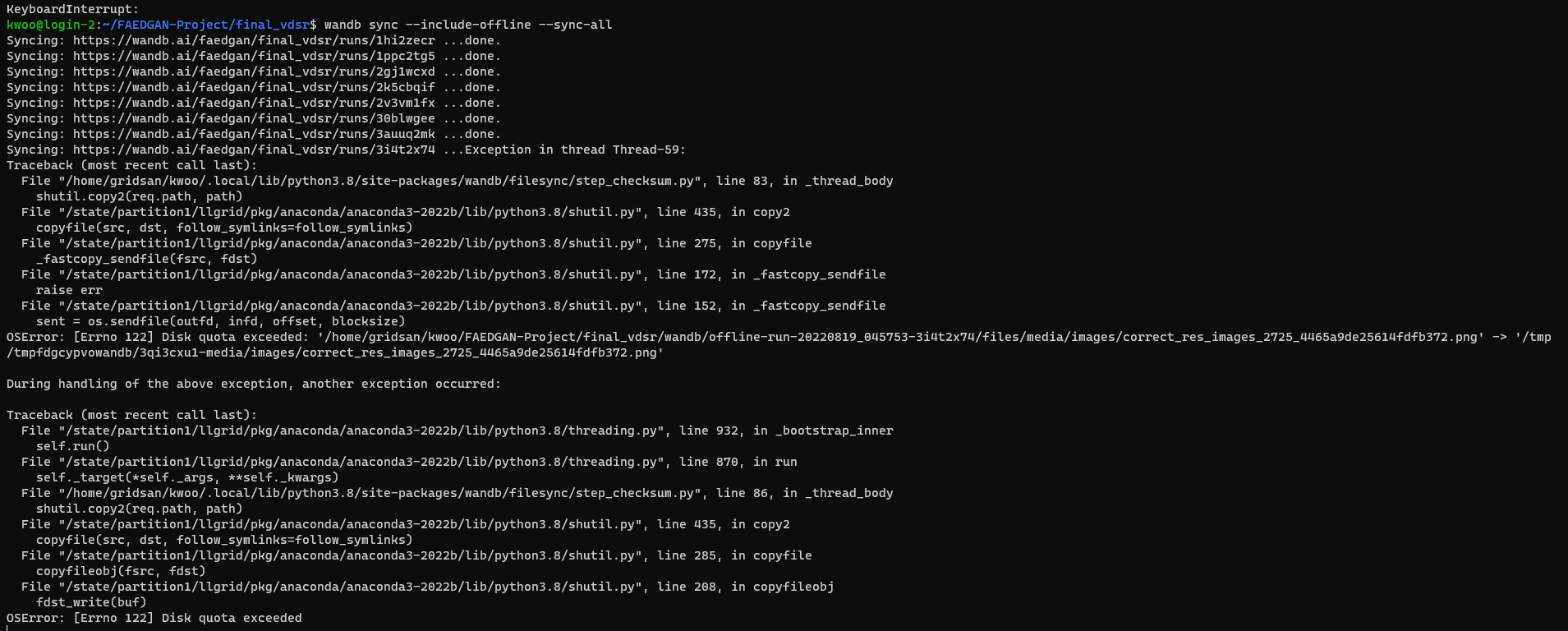[App] wandb sync hangs forever Disk quota exceeded · Issue 4143