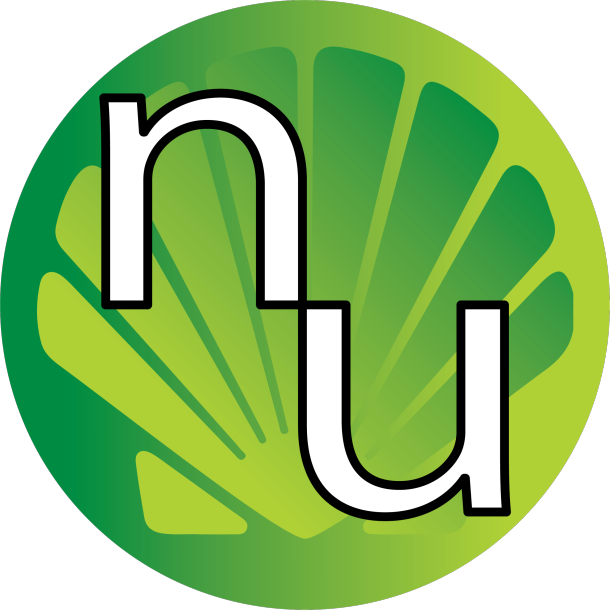 Add icon in the project and release folder · Issue #2872 · nushell ...