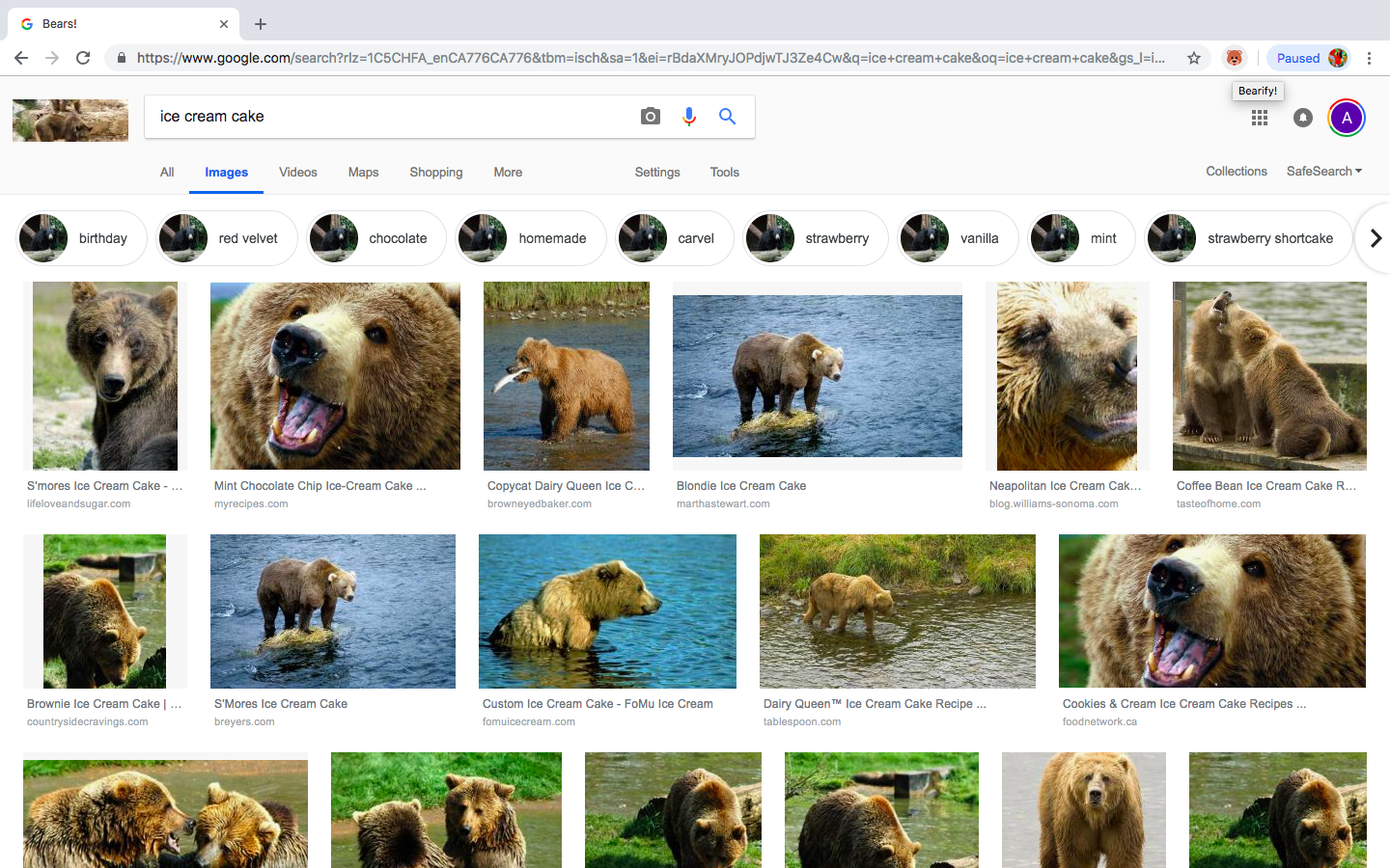 GitHub - alice-cai/bearify: Chrome extension that replaces all the ...
