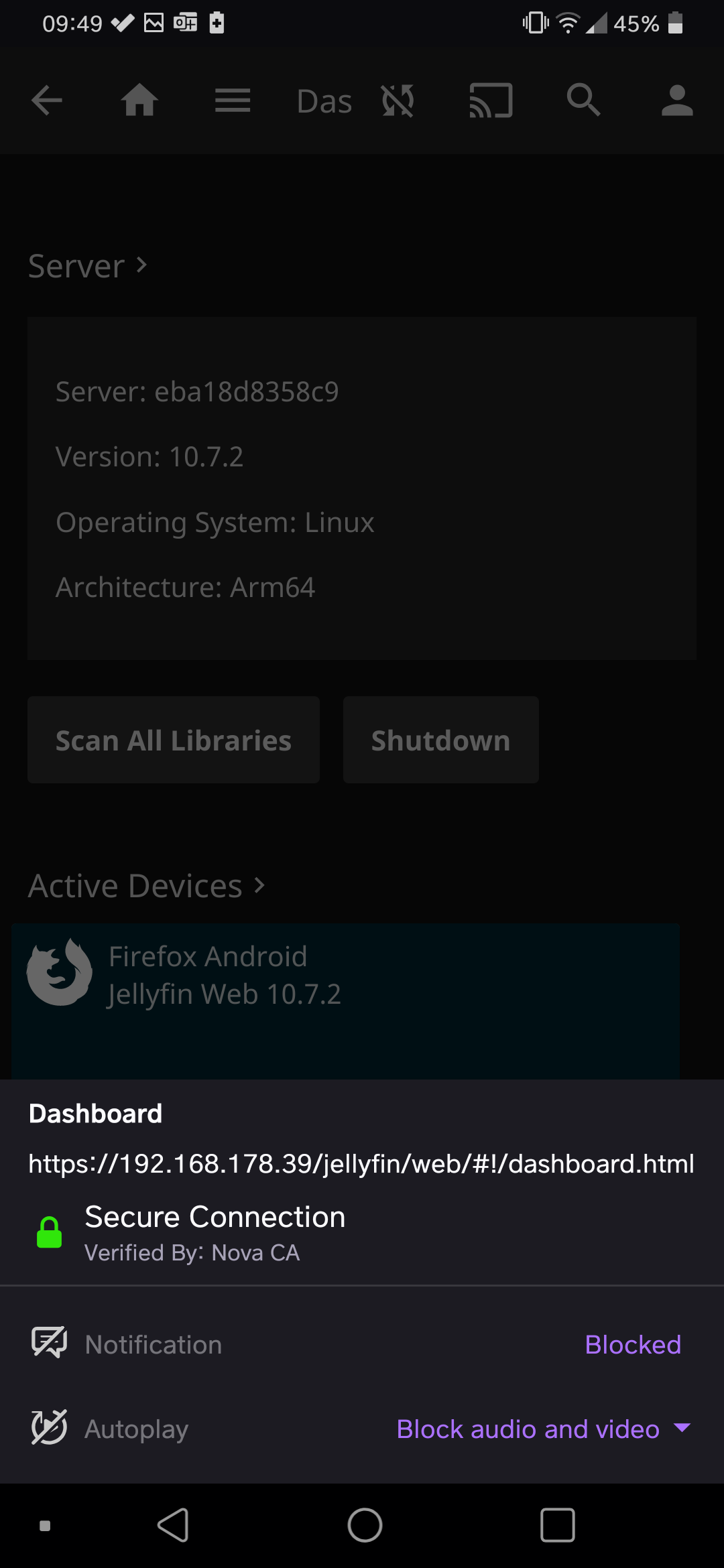 Https not working · Issue 345 · jellyfin/jellyfinandroid · GitHub
