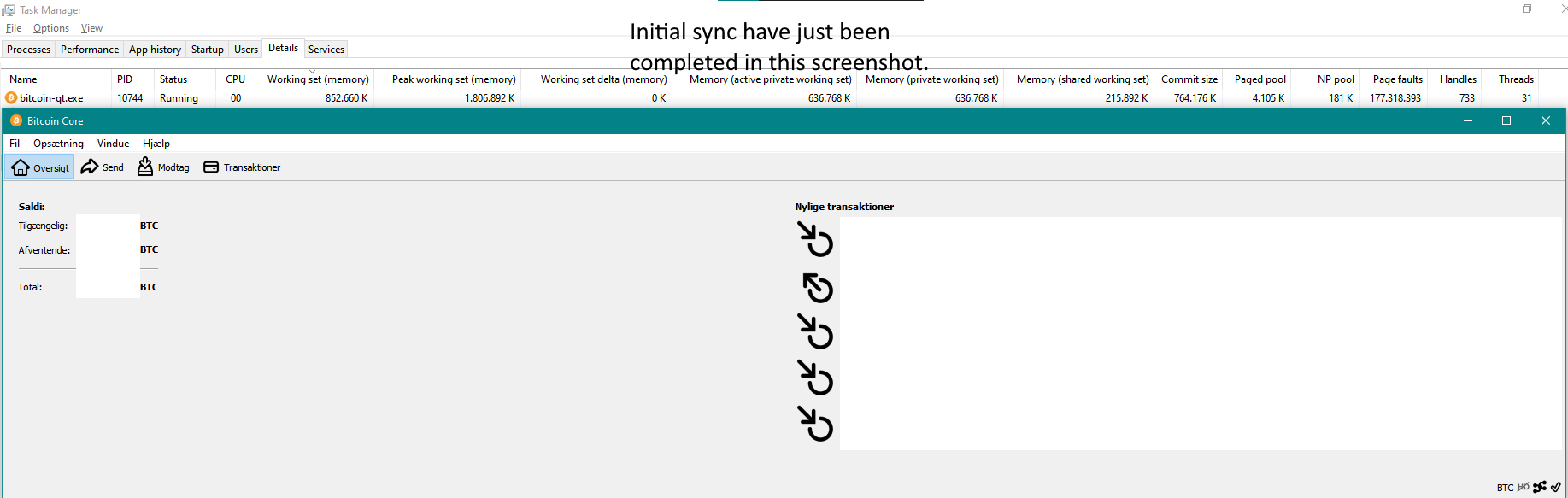 Skærmbillede 2021-01-11 123846