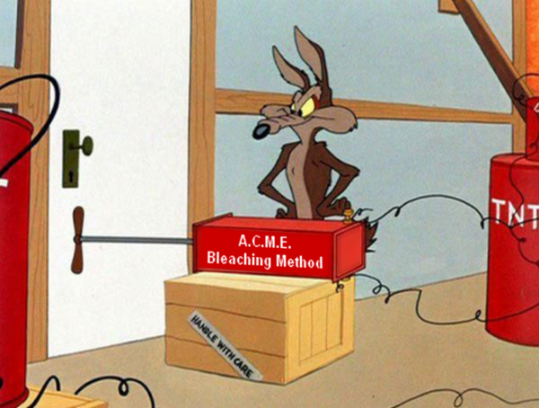 wile-e-coyote
