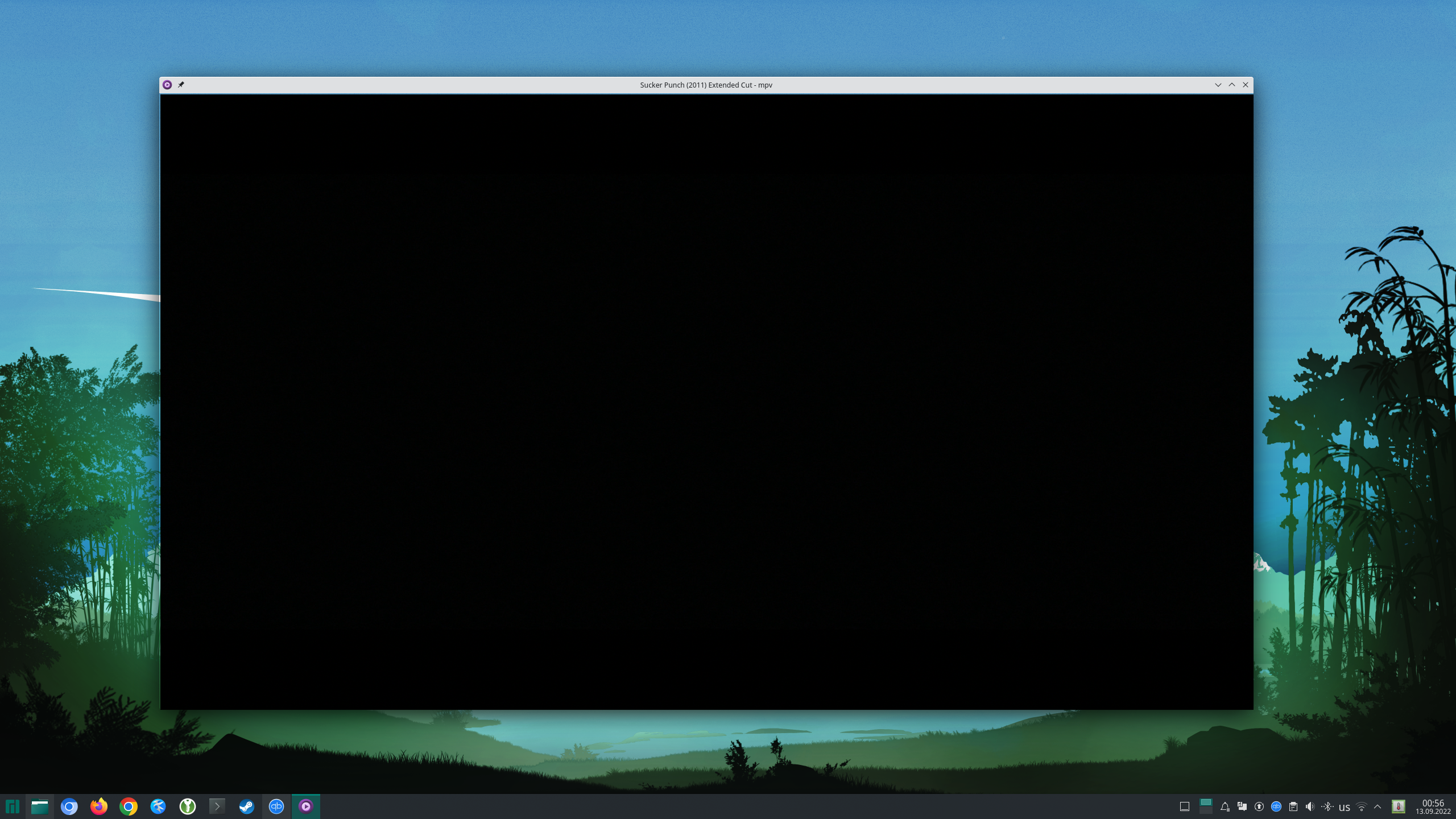 Wayland: transparent border · Issue #10638 · mpv-player/mpv · GitHub