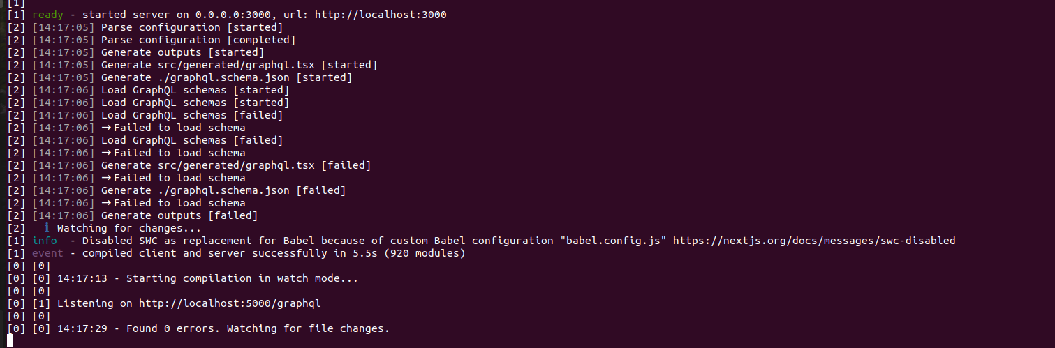 Issue with generated code when running the app locally with npm run ...
