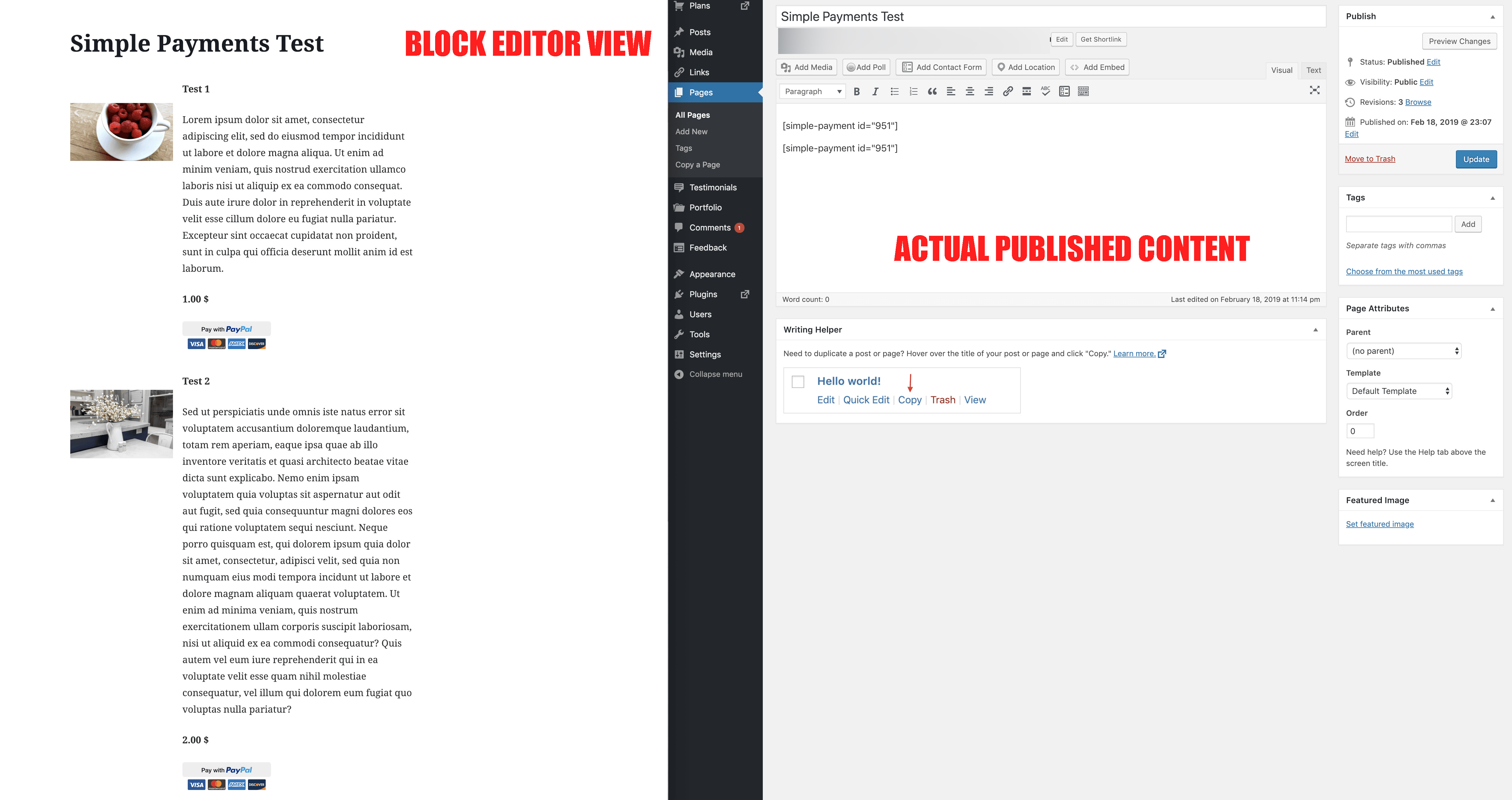 simple-payments-block-duplicated