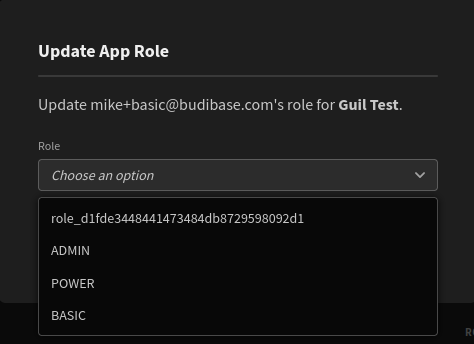 New role appears as role_ · Issue #2062 · Budibase/budibase · GitHub