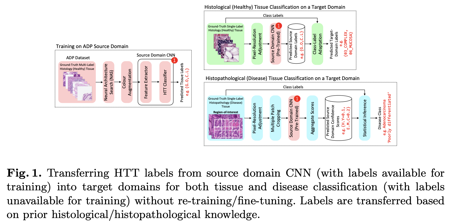 ECCV 2020 Accepted Medical Paper List · Issue 2 · YonseiTAIL