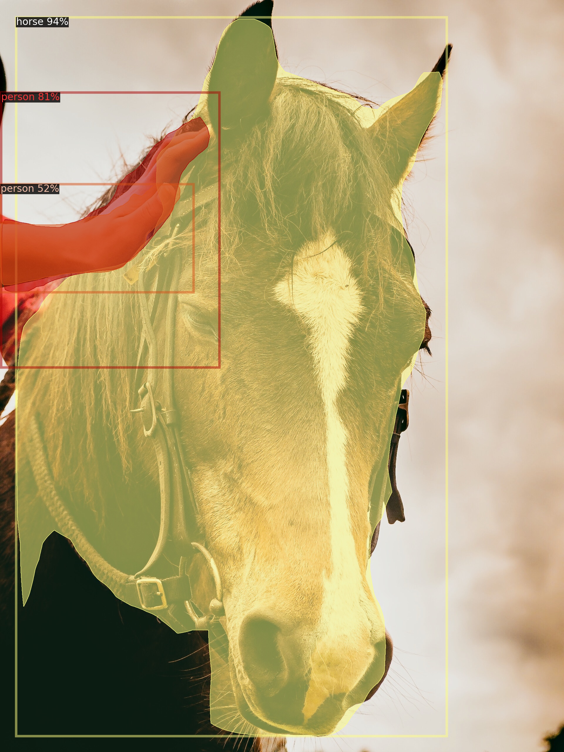 horseface01601