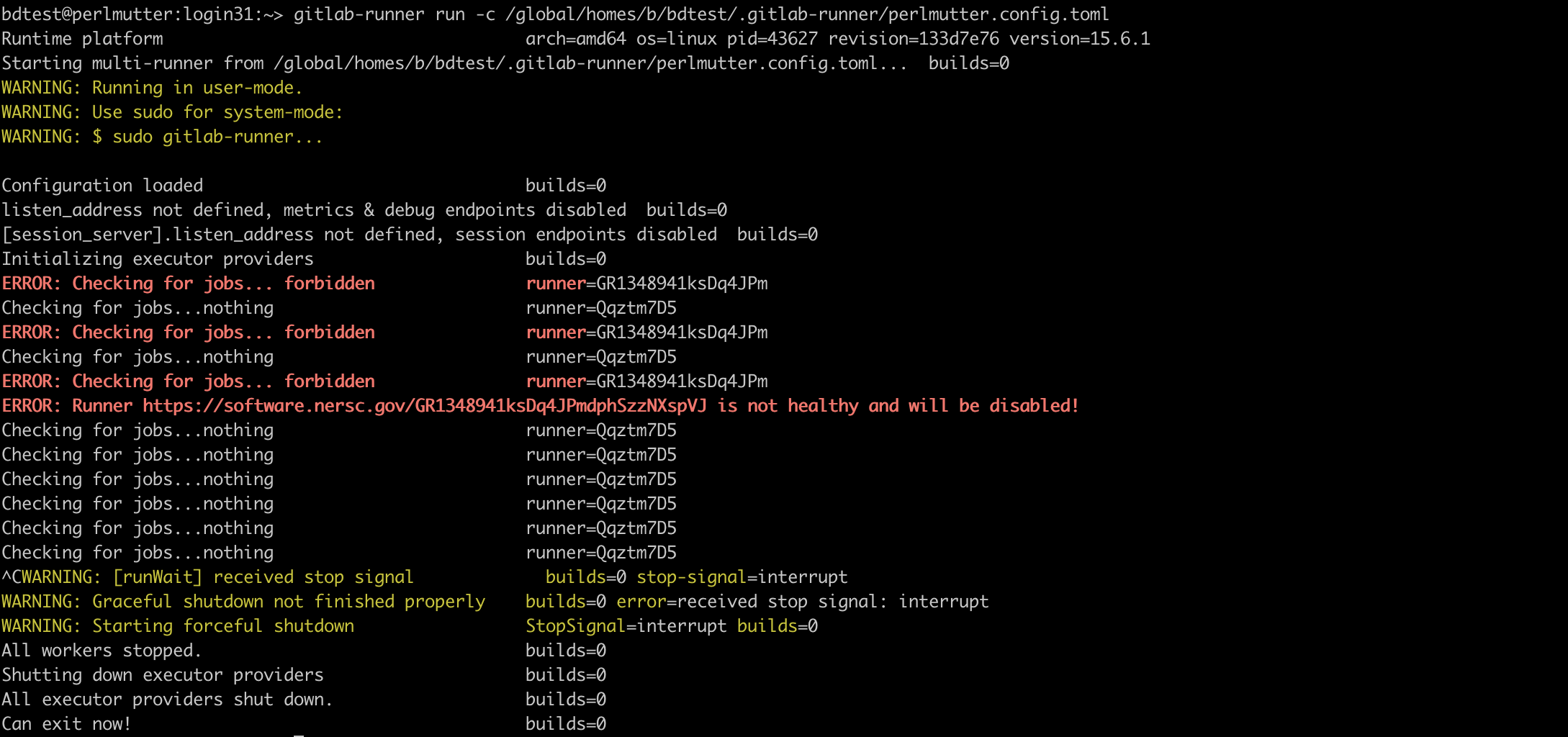 Setup a gitlab runner for user bdtest on Perlmutter · Issue #1302 ...