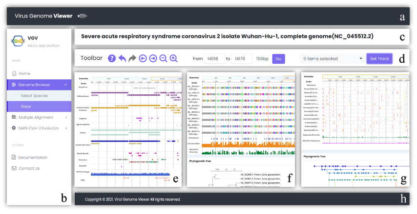 GitHub - weiyanle/VGV: virus genome viewer