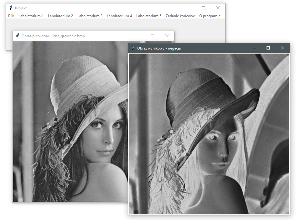 GitHub - Deelite34/ImageProcessingProject: Image processing project for ...