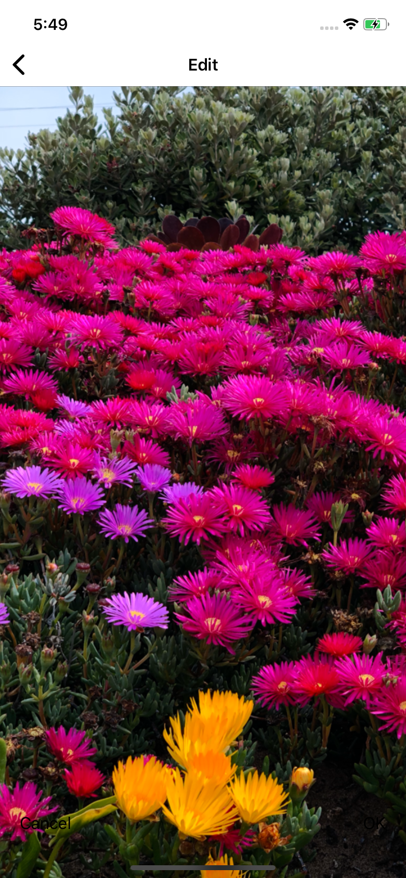 Simulator Screen Shot - iPhone 11 - 2020-10-26 at 17 49 04