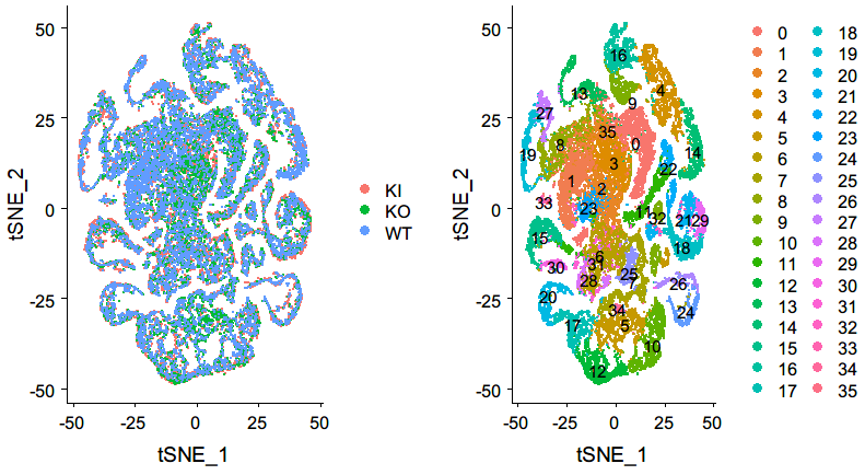 Sometimes UMAP reduction is mixed together and tSNE is more reasonable ...