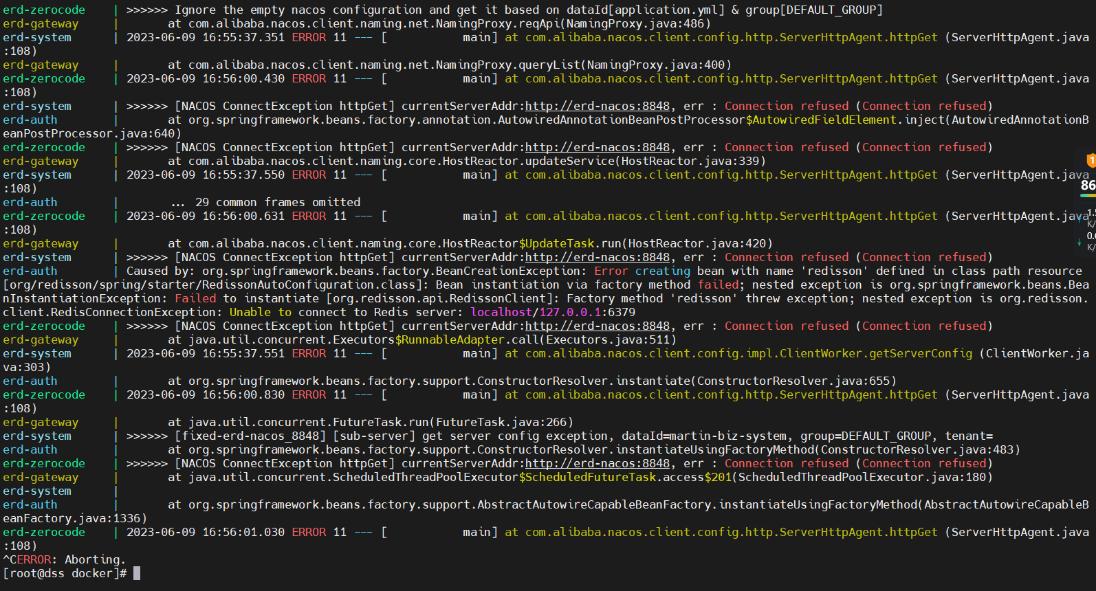 Currentserveraddr http erd nacos 8848 err connection refused