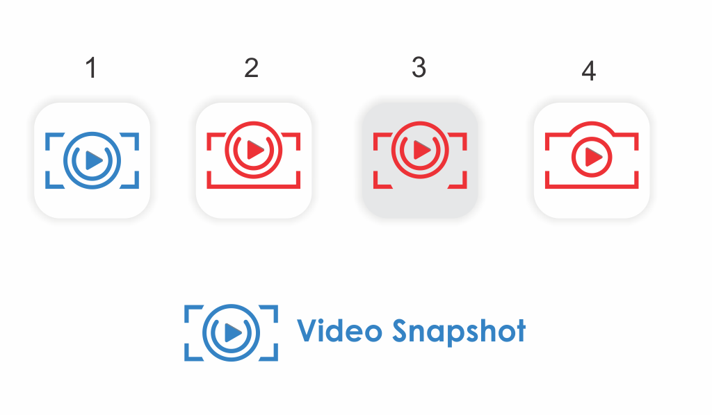 video snapshot