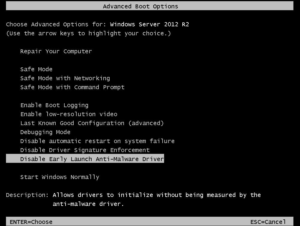 Advanced boot options. Advanced boot options