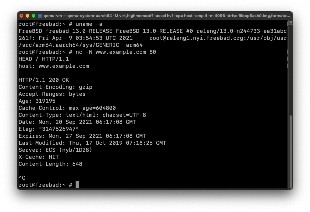 Another screenshot of FreeBSD 13.0-RELEASE for ARM64 console in QEMU on Apple Silicon Mac, this time showing that networking is working and is able to connect over HTTP to the website www.example.com