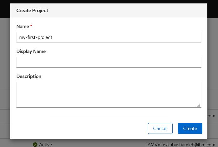 my project