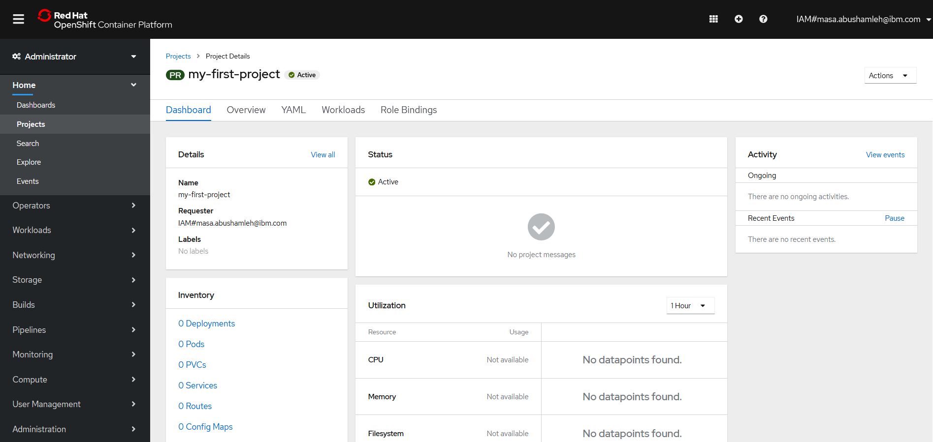 project overview