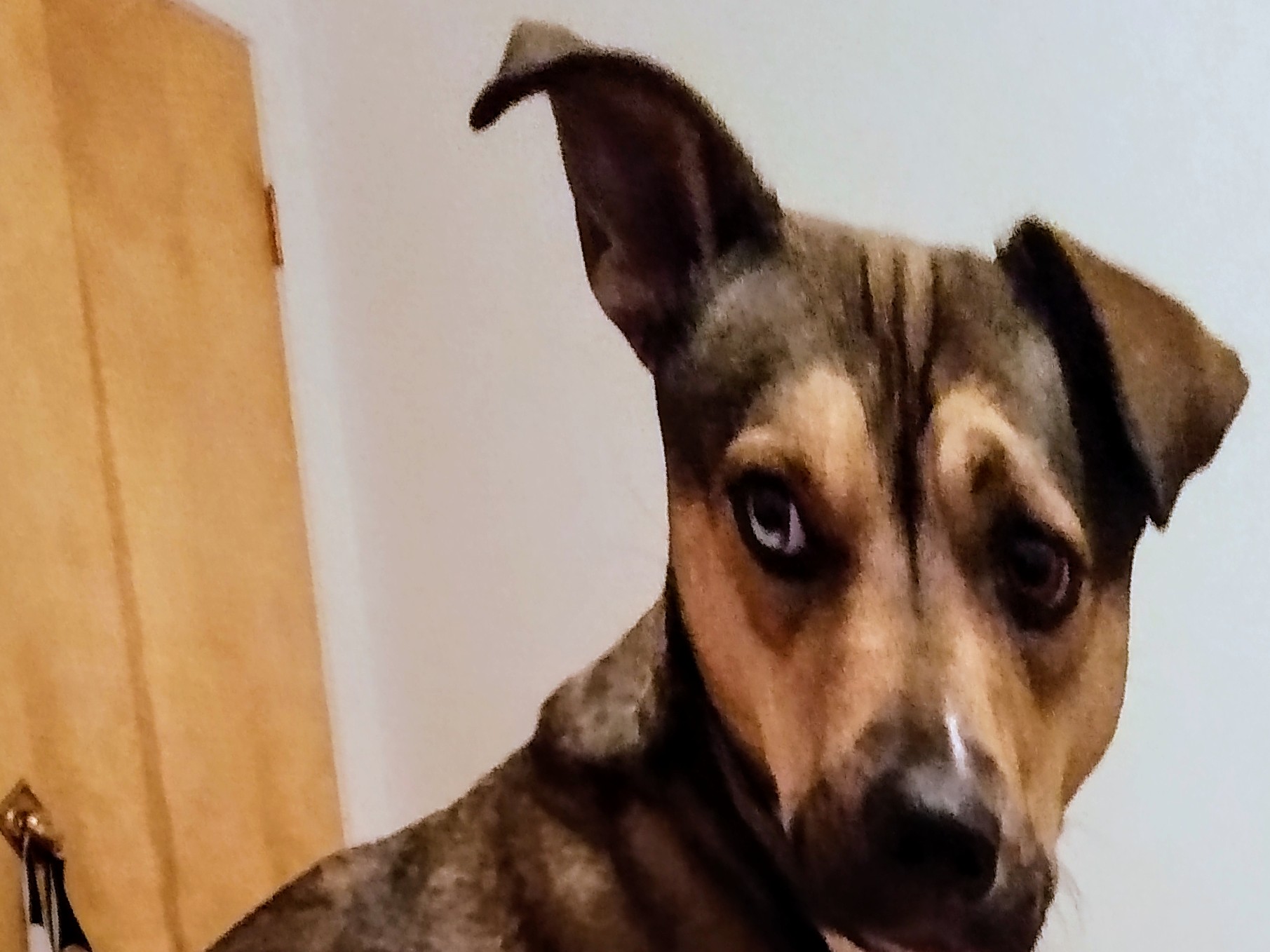 IMG_20191111_013146006