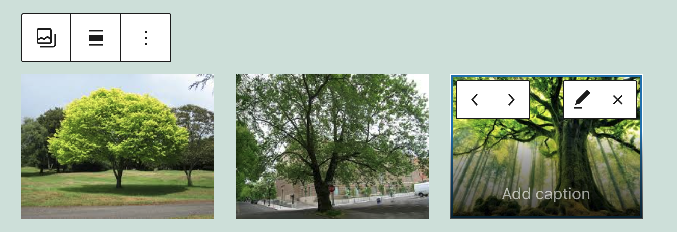 Screen Shot 2021-11-16 at 9 50 57 PM