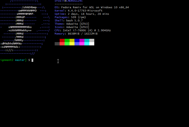 wsl-java-tests