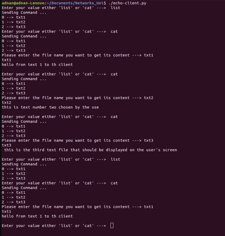 GitHub - AdnanAsali/Socket-Programming: University Project in the ...