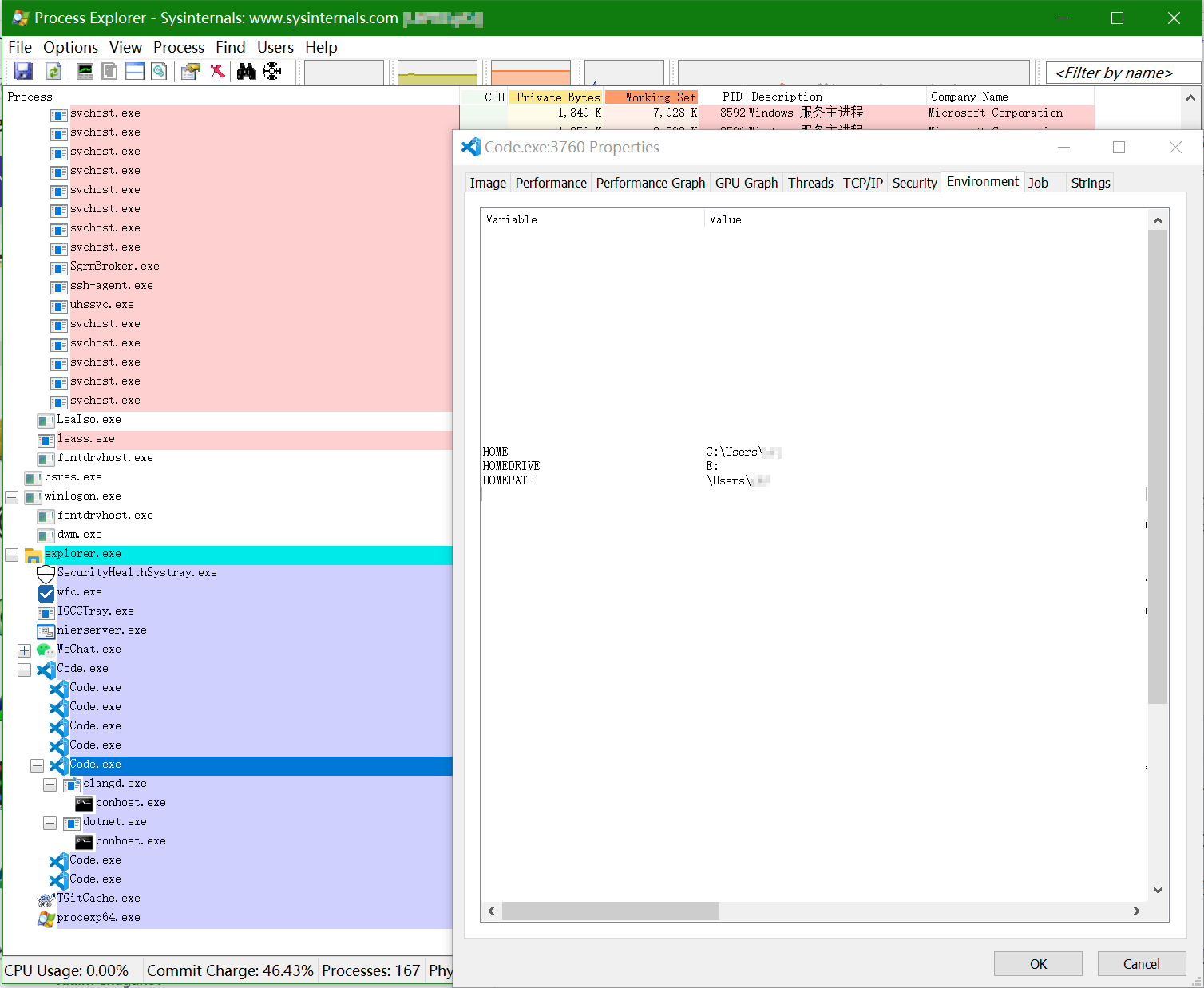 1 7 3 add home env var to vscode process which should not issue 1400