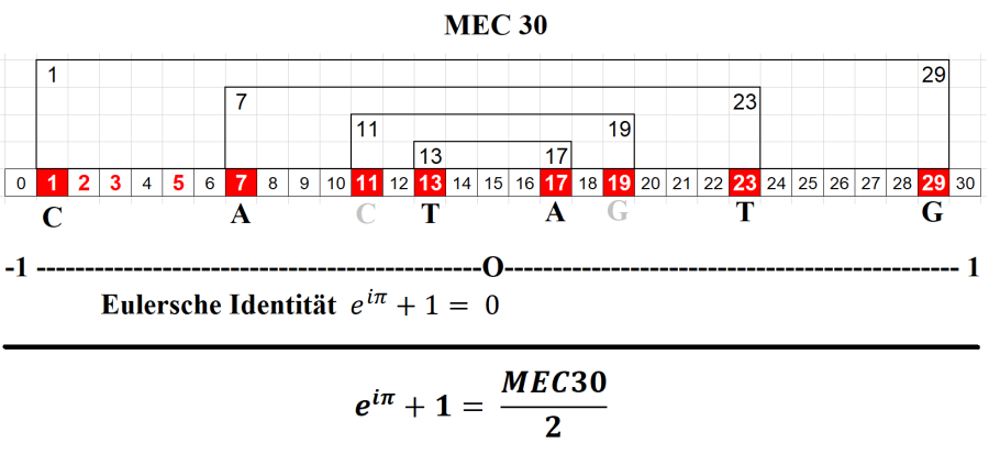 The Mathematical Elementary Cell 30