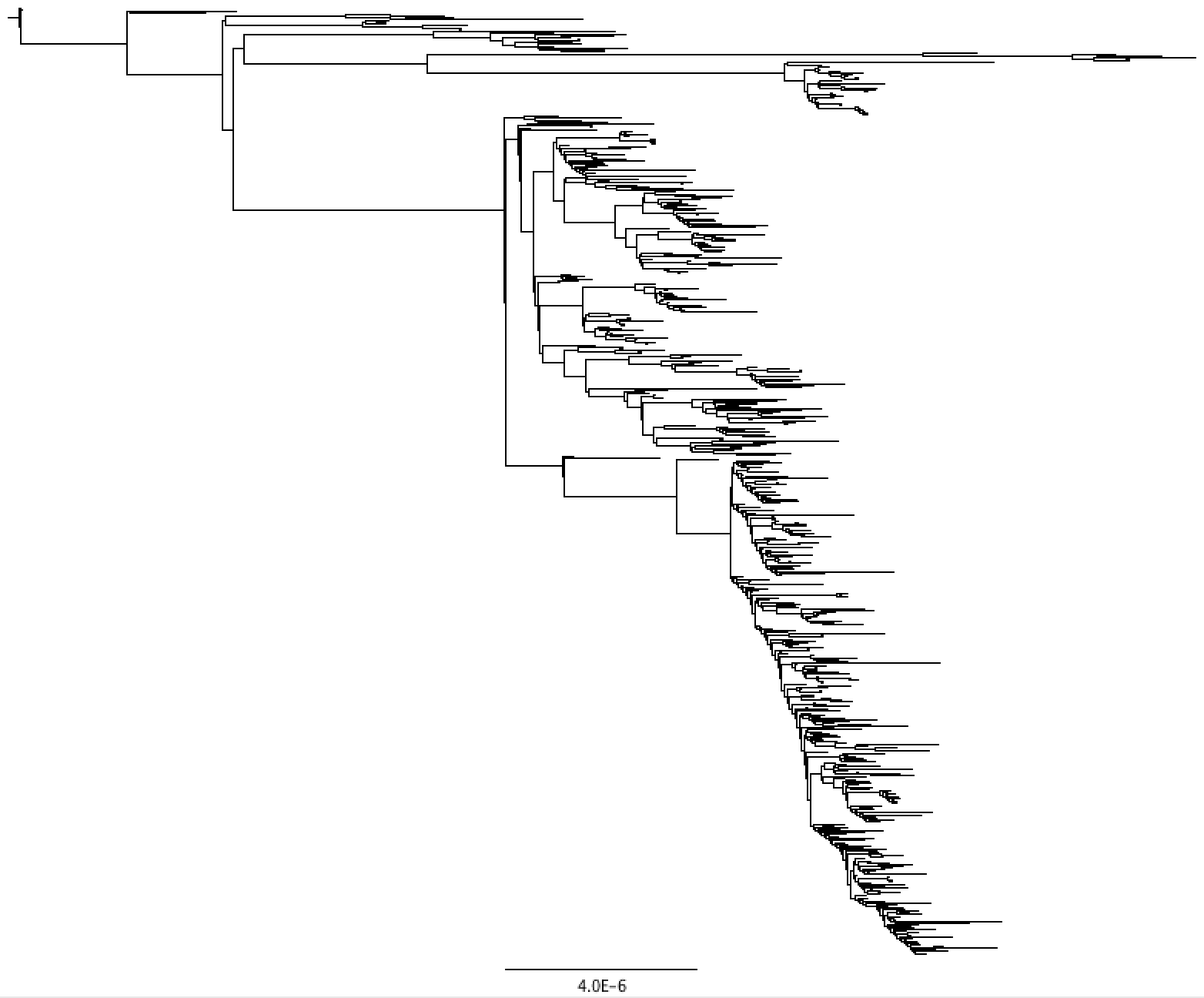 before_saving_in_figtree