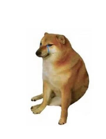 107768897_1660277687458056_1574561900102018542_n