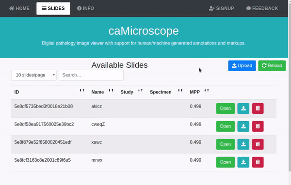 ezgif-6-7e4b2cbb6db9
