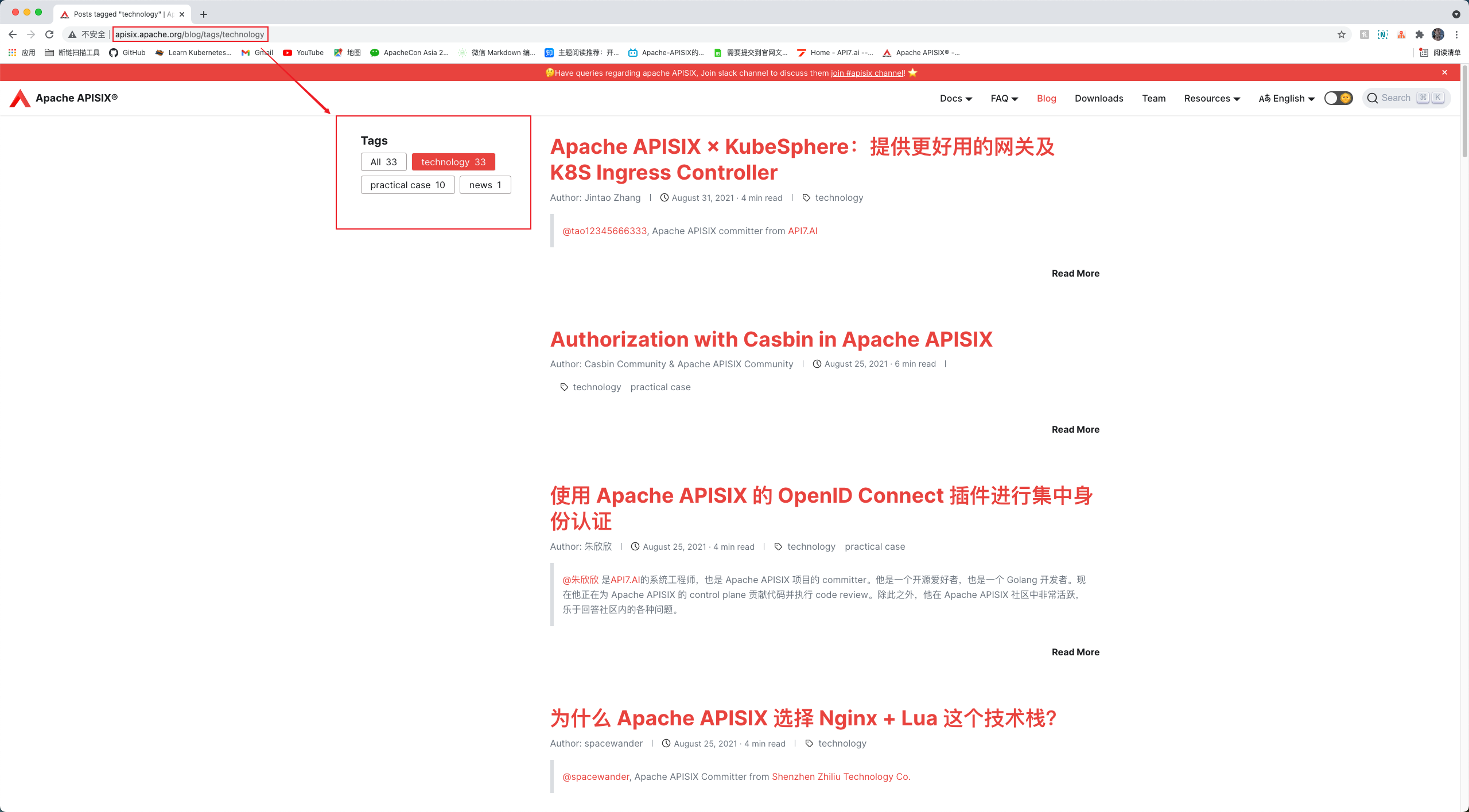 bug: tags behave abnormally · Issue #567 · apache/apisix-website · GitHub