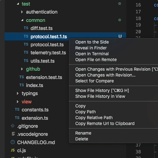 File name manipulation · Issue #66365 · microsoft/vscode · GitHub