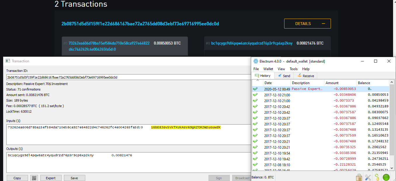 Sent to wrong wallet (Electrum 4.0) · Issue #6159 · spesmilo/electrum