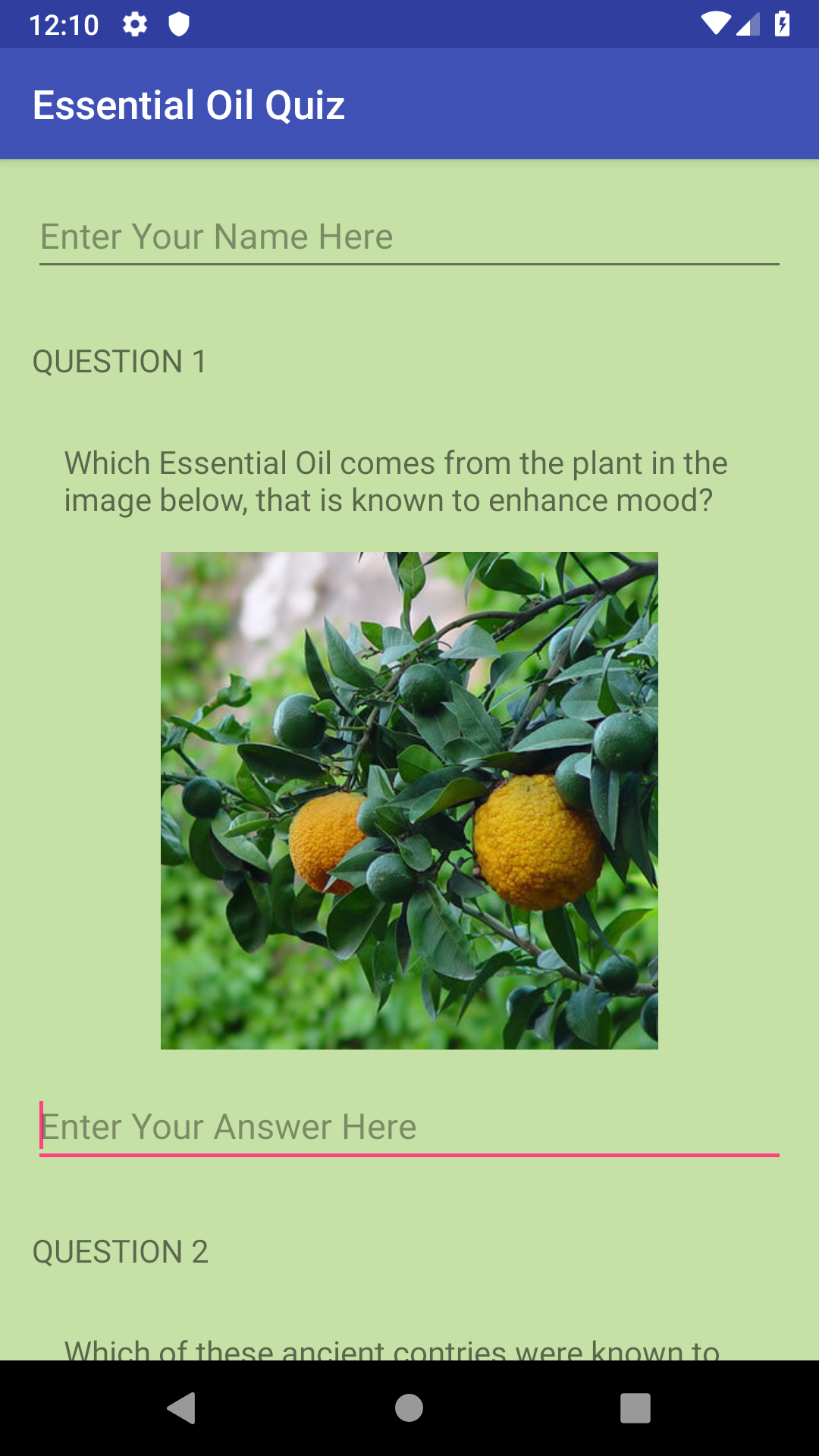 GitHub GiulianaMora/EssentialOilQuizApp Third Udacity Project