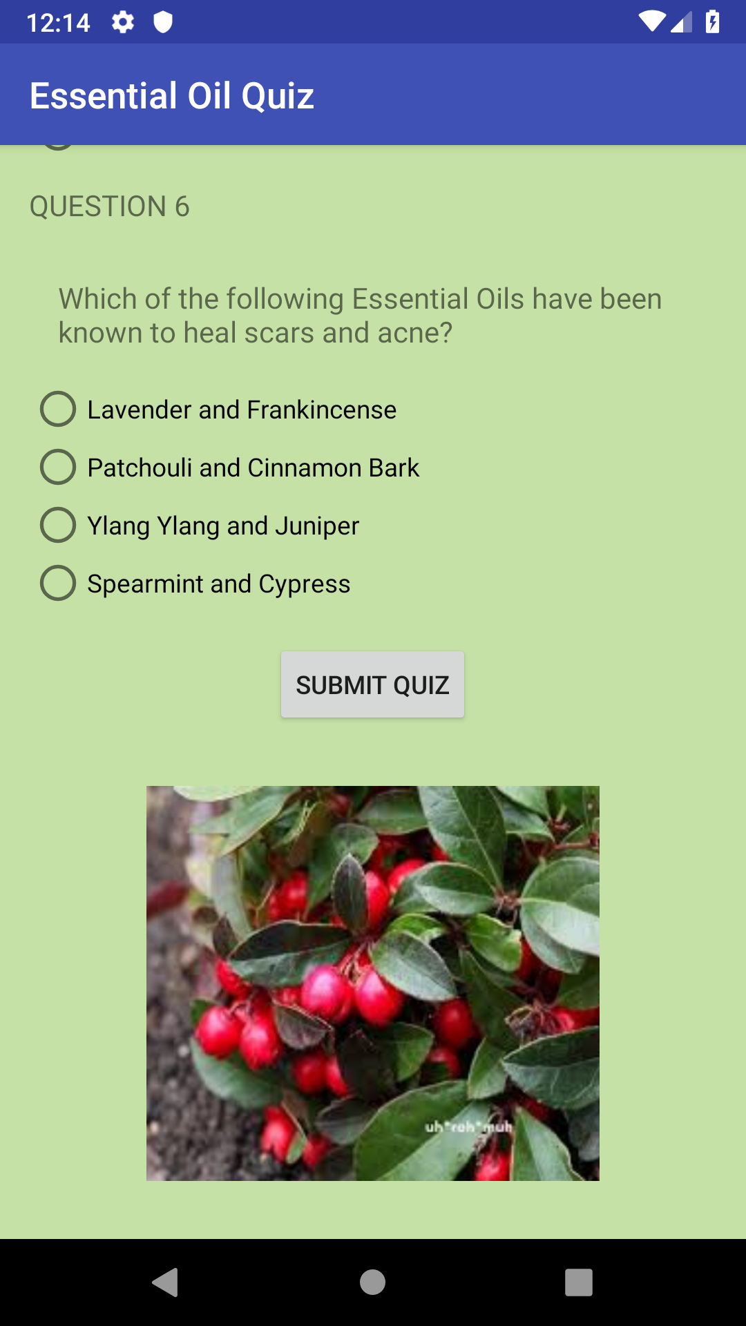 GitHub GiulianaMora/EssentialOilQuizApp Third Udacity Project