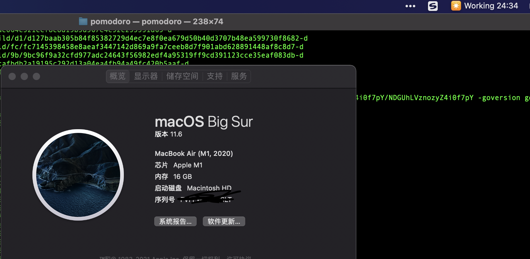 截屏2021-11-01 00 28 26